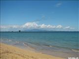 La Ceiba de Vieques - VIEQUES